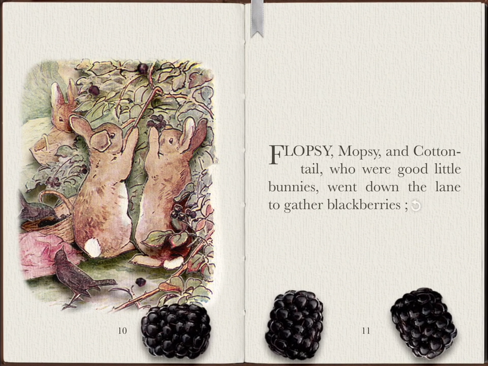 PopOut! Peter Rabbit